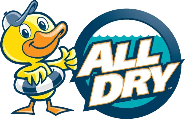 Cartoon duck with a cap and life preserver stands next to a circular logo with stylized waves and bold text reading “ALL DRY.” The design uses blue, yellow, and white colors.