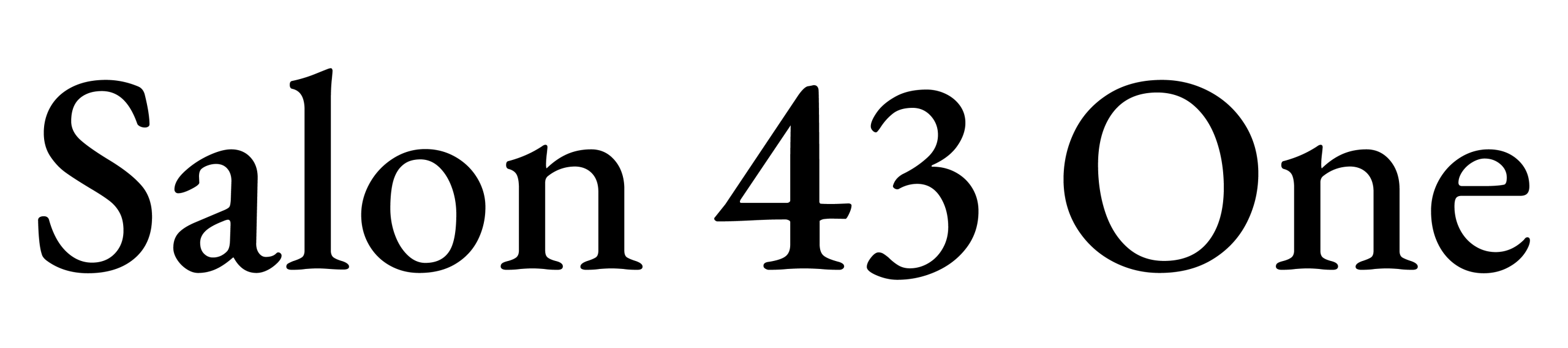 The image shows the words “Salon 43 One” in a large, bold serif font on a plain background.